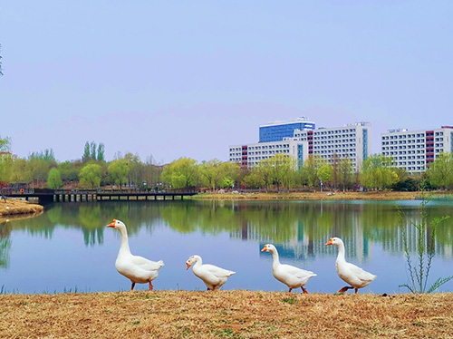 北京理工大學風景