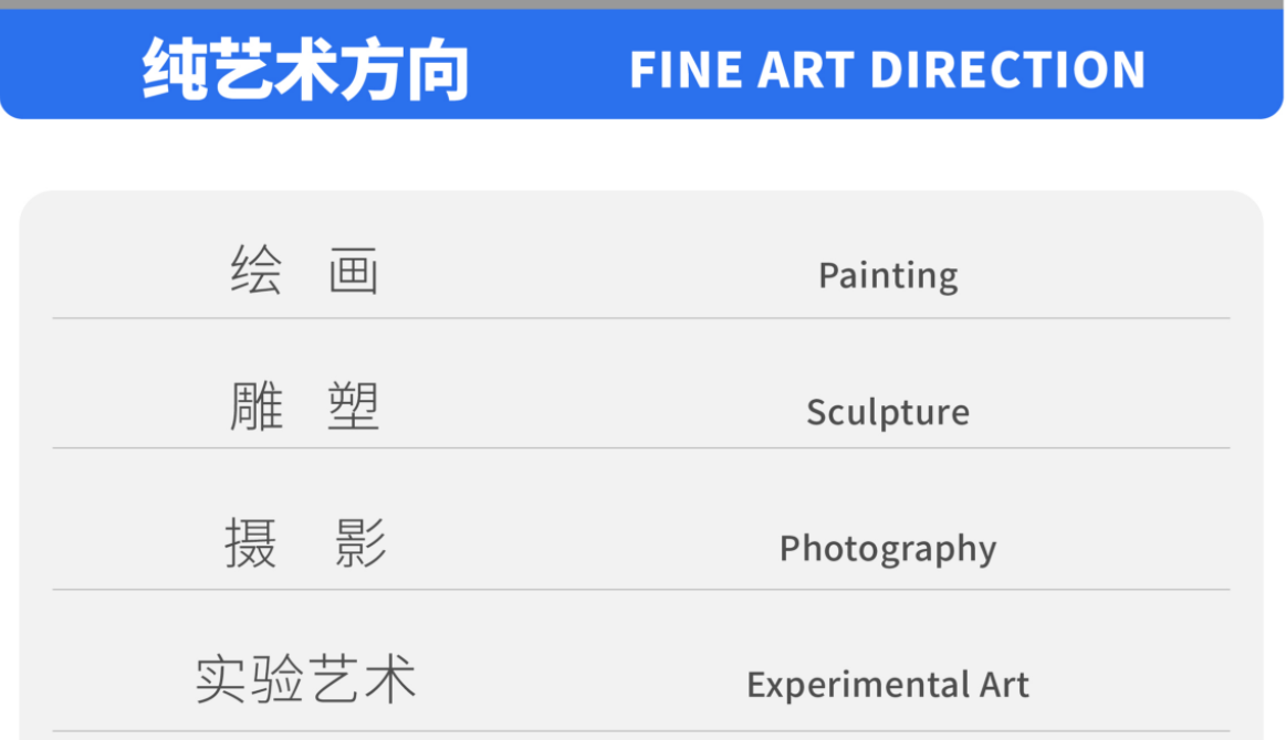 纯艺术方向
