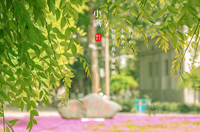 西安交通大學(xué)蘇州研究院風(fēng)景